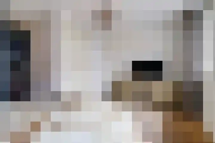 Nachtegaal 25 Bladel thumbnail 28