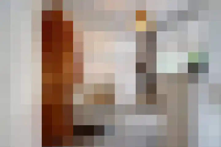 Nachtegaal 25 Bladel thumbnail 31