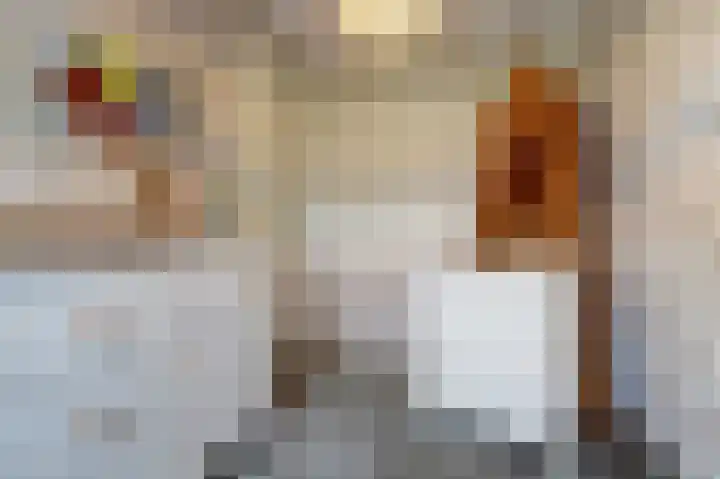 Nachtegaal 25 Bladel thumbnail 33