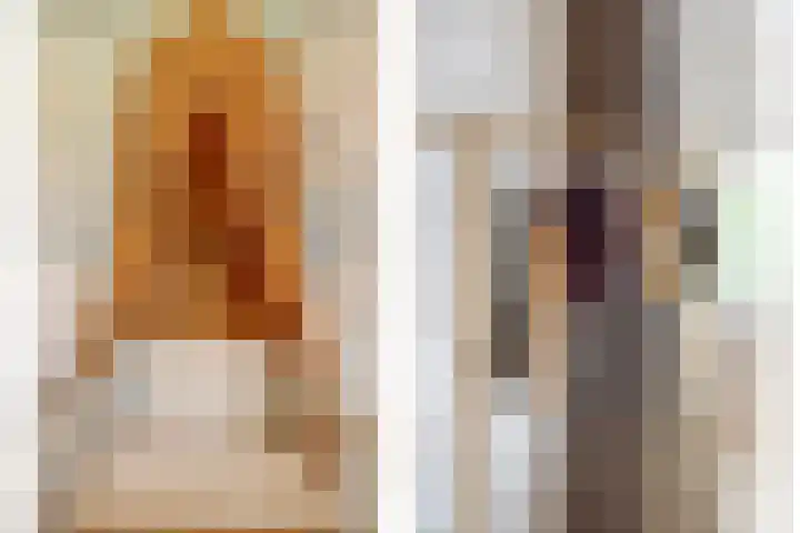 Nachtegaal 25 Bladel thumbnail 34