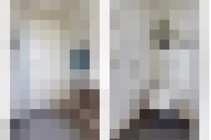 Nachtegaal 25 Bladel thumbnail 37