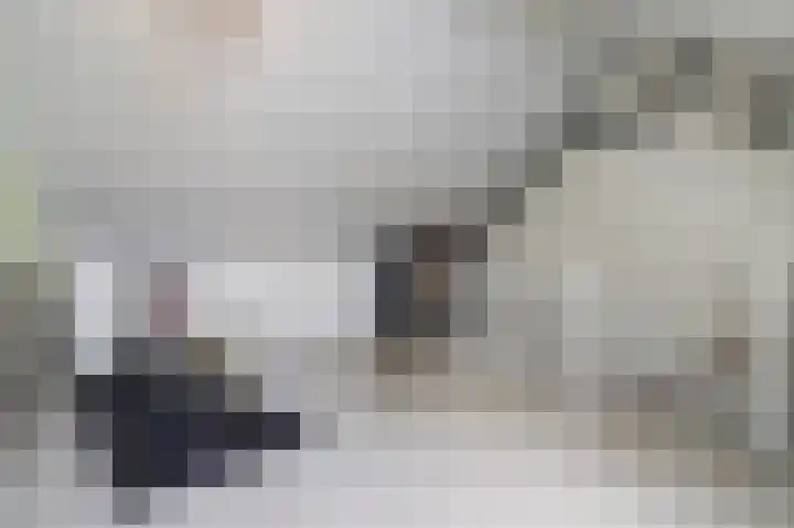 Nachtegaal 25 Bladel thumbnail 40