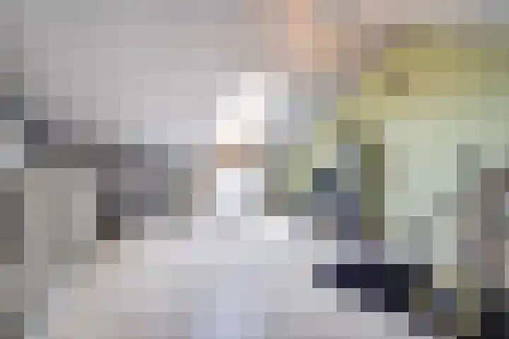 Nachtegaal 25 Bladel thumbnail 41