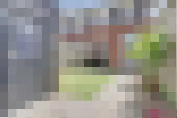 Nachtegaal 25 Bladel thumbnail 43