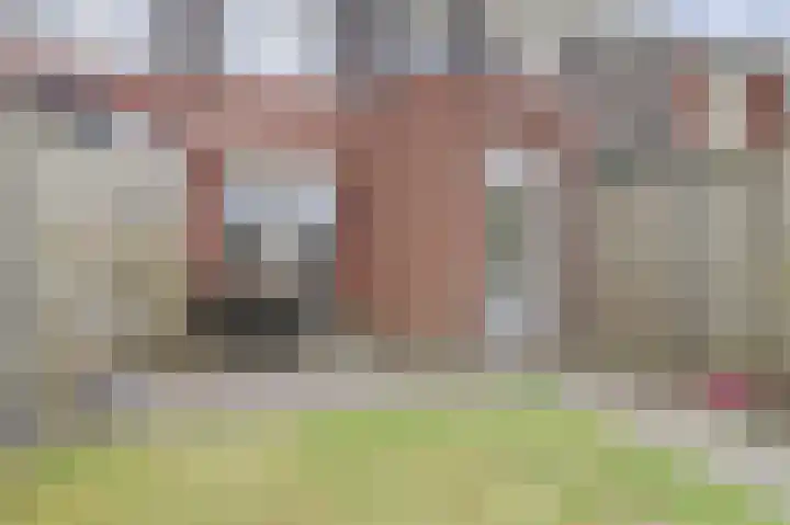 Nachtegaal 25 Bladel thumbnail 44