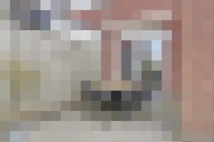 Nachtegaal 25 Bladel thumbnail 45