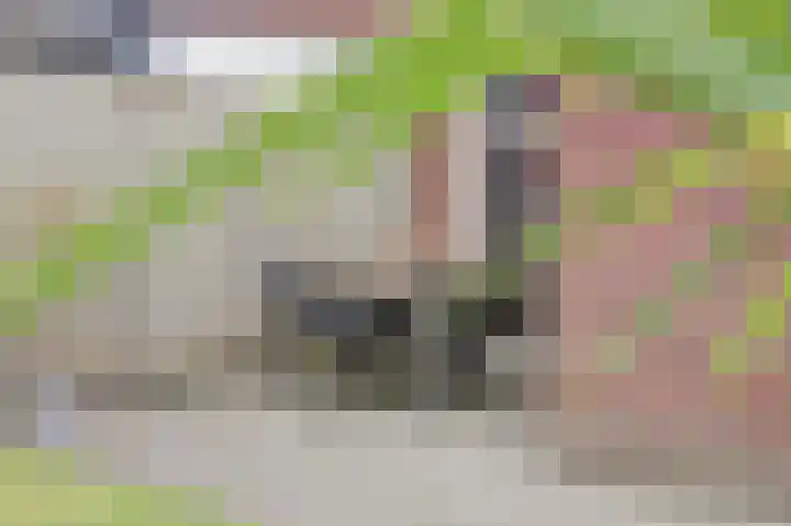 Nachtegaal 25 Bladel thumbnail 48