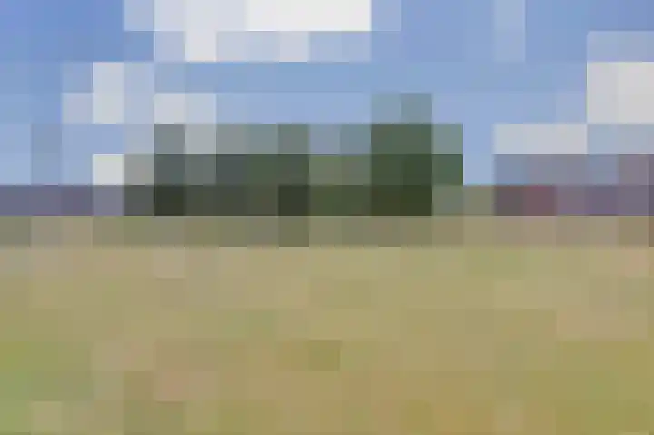 Nachtegaal 25 Bladel thumbnail 49