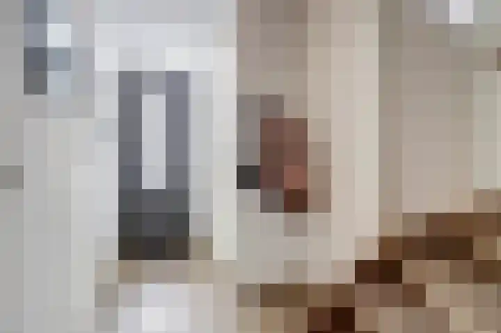 Nachtegaal 25 Bladel thumbnail 5
