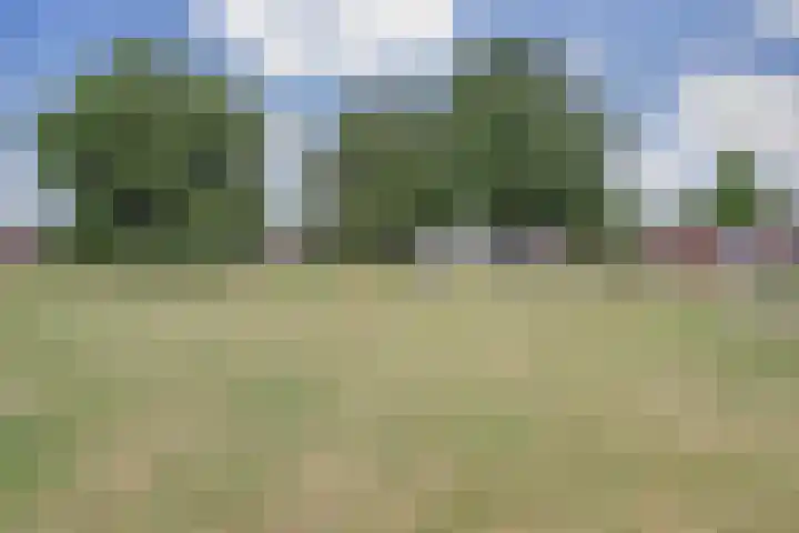Nachtegaal 25 Bladel thumbnail 50