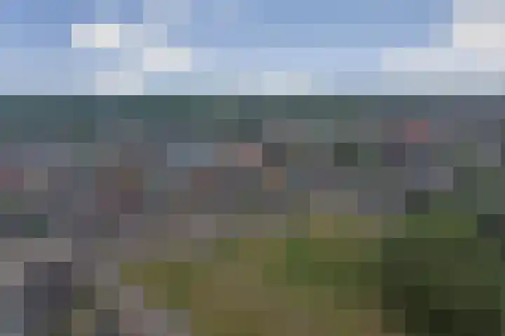 Nachtegaal 25 Bladel thumbnail 52