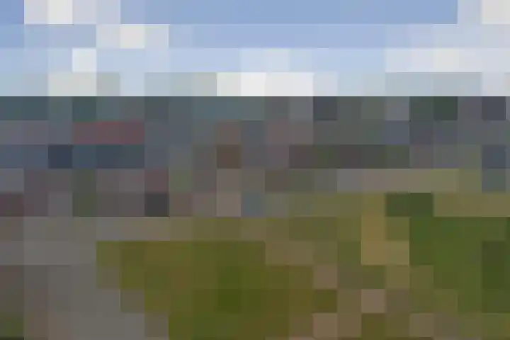 Nachtegaal 25 Bladel thumbnail 53