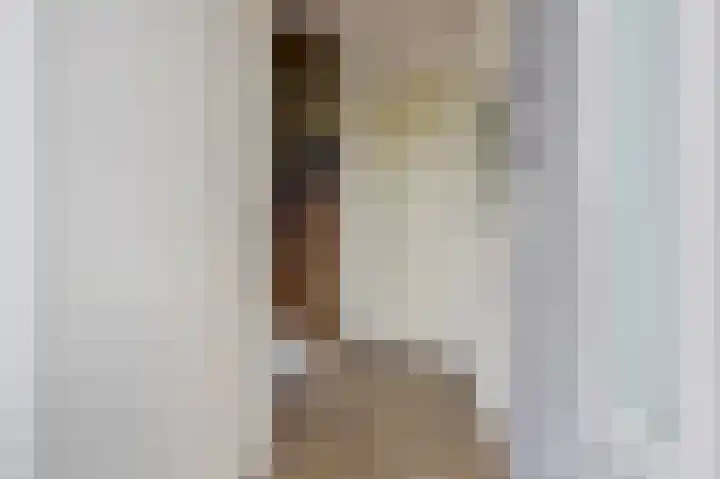Nachtegaal 25 Bladel thumbnail 6