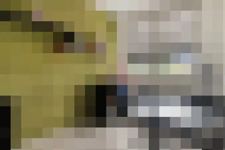 Nachtegaal 27 Bladel thumbnail 19