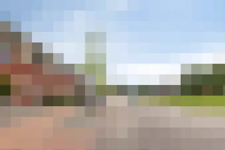 Nachtegaal 27 Bladel thumbnail 24