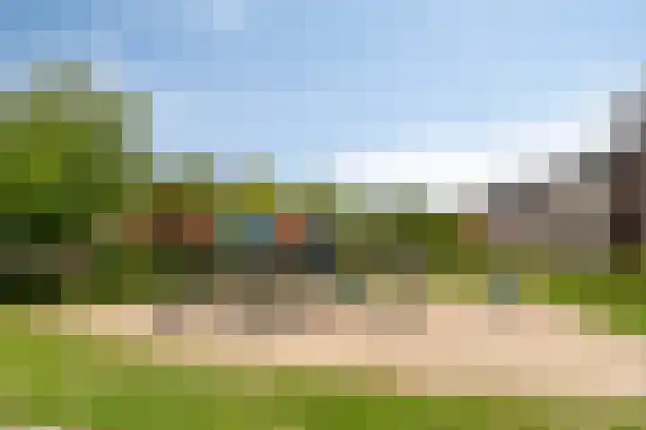 Nachtegaal 27 Bladel thumbnail 25