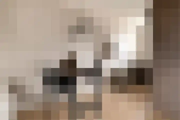 Nachtegaal 27 Bladel thumbnail 8