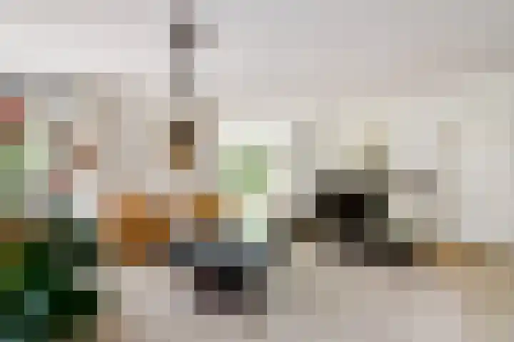 Nachtegaal 27 Boxmeer thumbnail 12
