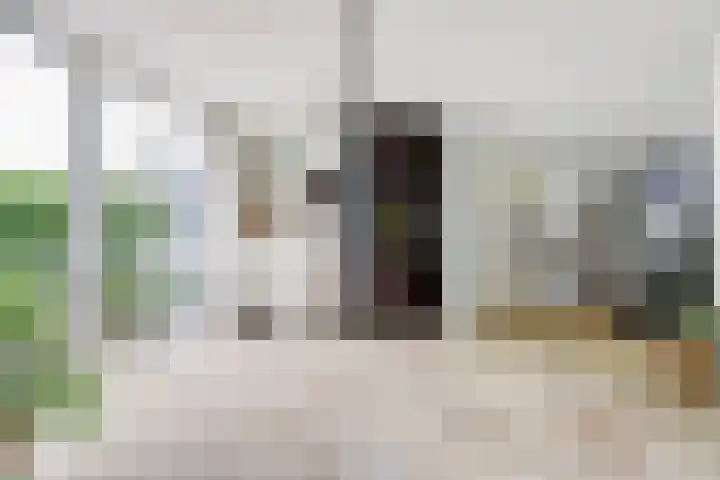 Nachtegaal 27 Boxmeer thumbnail 17
