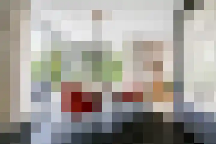 Nachtegaal 27 Boxmeer thumbnail 19