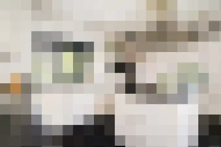 Nachtegaal 27 Boxmeer thumbnail 21