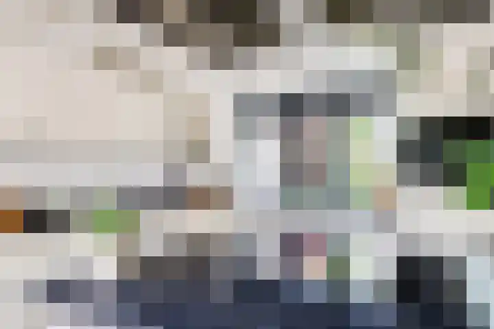 Nachtegaal 27 Boxmeer thumbnail 22