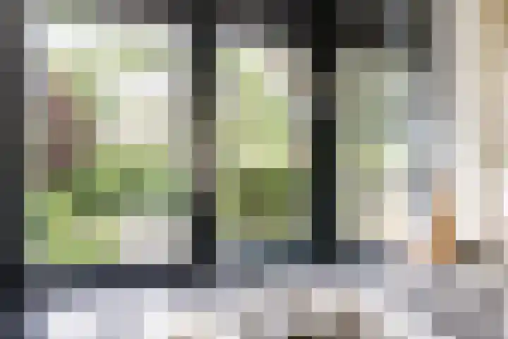 Nachtegaal 27 Boxmeer thumbnail 23