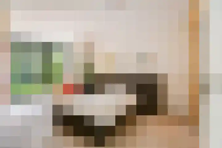 Nachtegaal 27 Boxmeer thumbnail 24