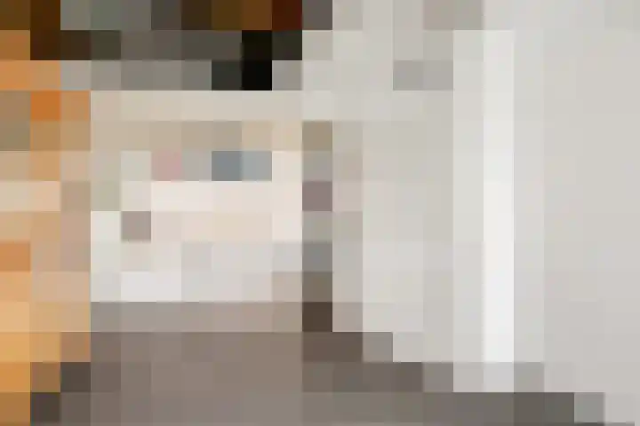 Nachtegaal 27 Boxmeer thumbnail 29