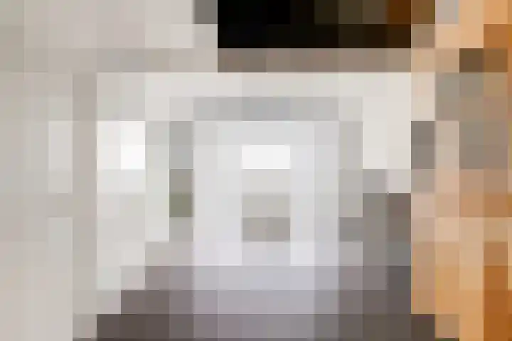 Nachtegaal 27 Boxmeer thumbnail 30
