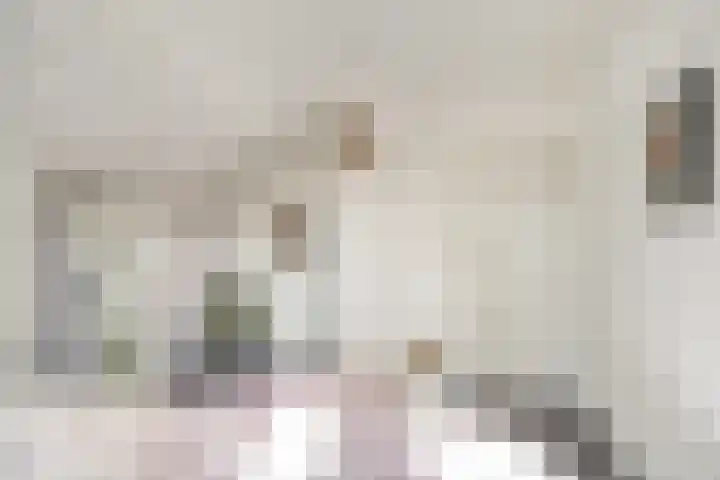 Nachtegaal 27 Boxmeer thumbnail 34