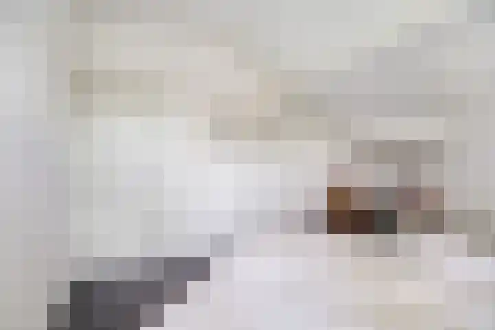 Nachtegaal 27 Boxmeer thumbnail 36