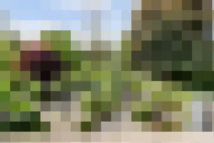 Nachtegaal 27 Boxmeer thumbnail 37