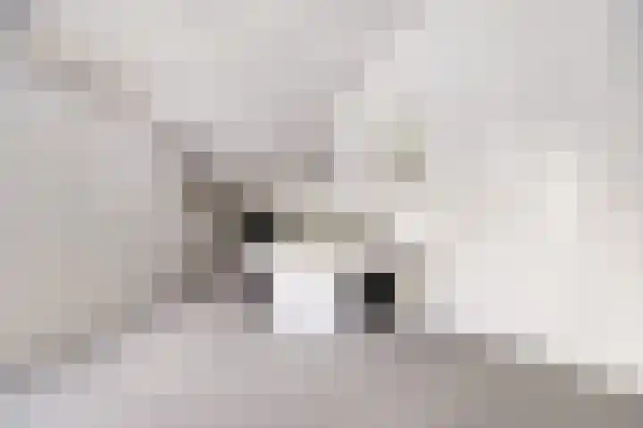 Nachtegaal 27 Boxmeer thumbnail 38
