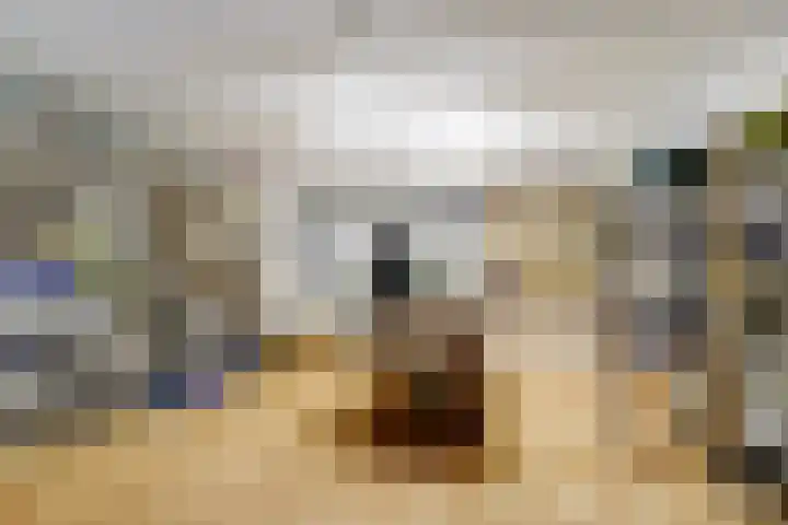 Nachtegaal 27 Boxmeer thumbnail 45