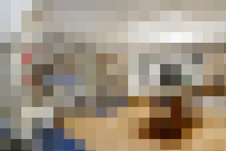 Nachtegaal 27 Boxmeer thumbnail 46
