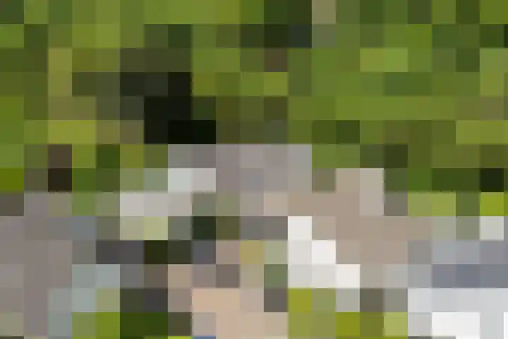 Nachtegaal 27 Boxmeer thumbnail 5