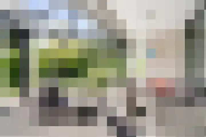 Nachtegaal 27 Boxmeer thumbnail 52