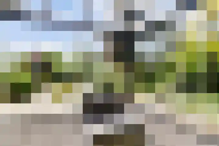 Nachtegaal 27 Boxmeer thumbnail 53