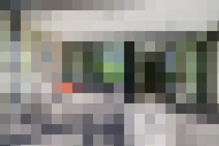 Nachtegaal 27 Boxmeer thumbnail 54