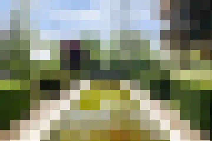 Nachtegaal 27 Boxmeer thumbnail 55