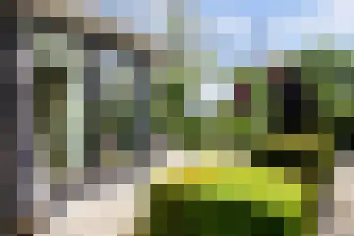 Nachtegaal 27 Boxmeer thumbnail 56