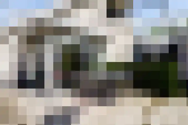 Nachtegaal 27 Boxmeer thumbnail 57