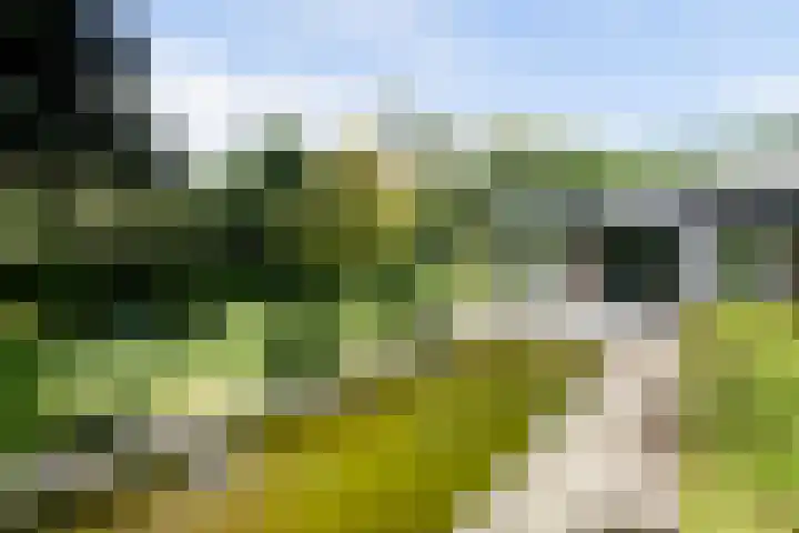 Nachtegaal 27 Boxmeer thumbnail 58