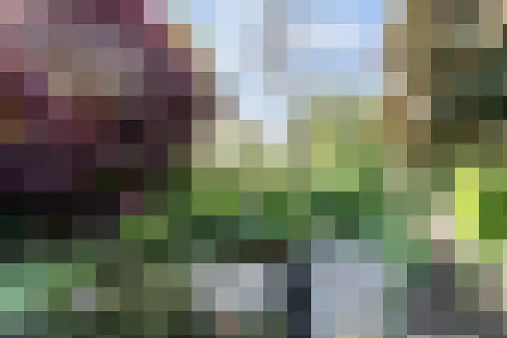 Nachtegaal 27 Boxmeer thumbnail 59