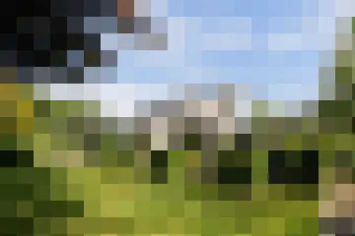 Nachtegaal 27 Boxmeer thumbnail 60