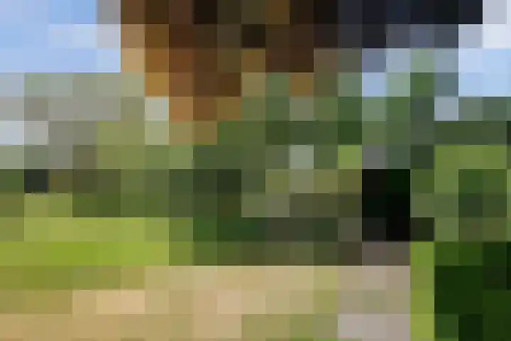 Nachtegaal 27 Boxmeer thumbnail 61