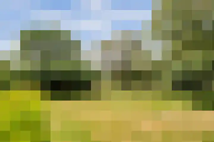 Nachtegaal 27 Boxmeer thumbnail 62