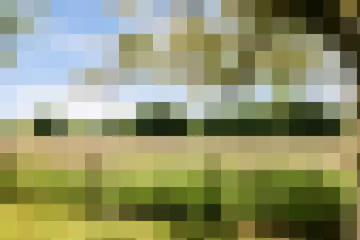 Nachtegaal 27 Boxmeer thumbnail 63