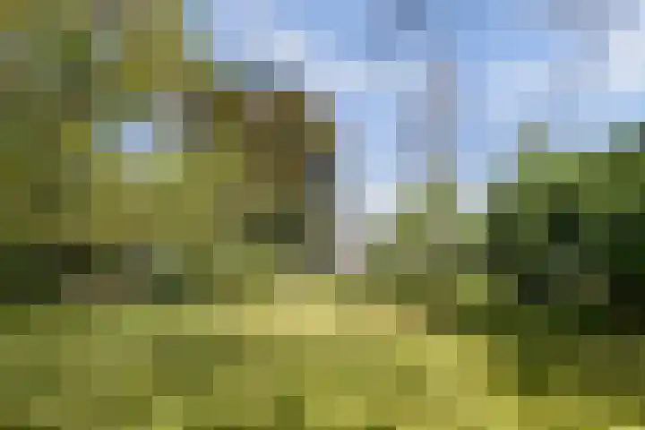 Nachtegaal 27 Boxmeer thumbnail 64